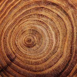 Holzmuster - Teakholz