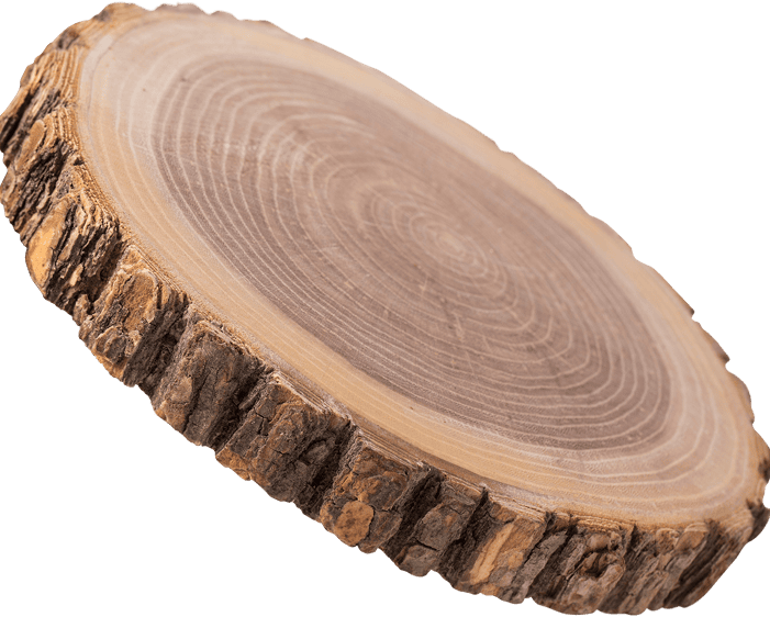 Holzscheibe